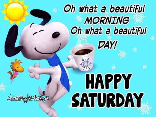 SATURDAY 23 MAY