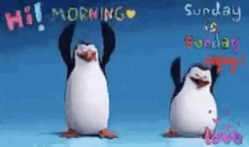 SUNDAY 24 MAY